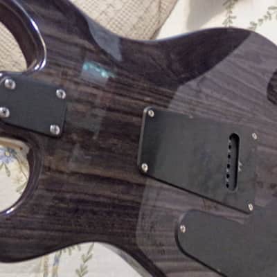 PRS SE SWAMP ASH special MINT  Charcoal image 3