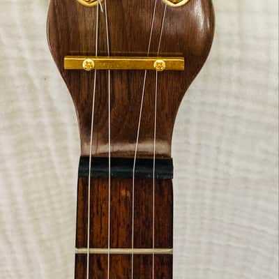 Turtle shell tenor banjo image 9