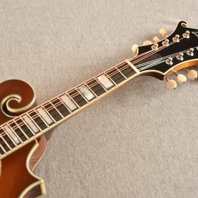 Eastman Electric Mandolin MD614-GB Oval Sound Hole - NEW 2024 image 6