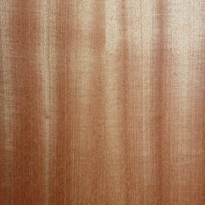 Taylor 114ce Sapele / Torrified Spruce Acoustic-Electric Guitar image 10