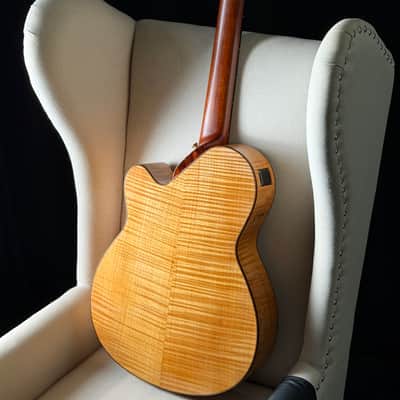 Paul McGill Super Ace Nylon Crossover Classical RMC image 19