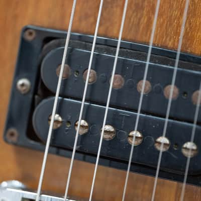 1979 Gibson USA Les Paul "The Paul" - in Walnut Stain image 4