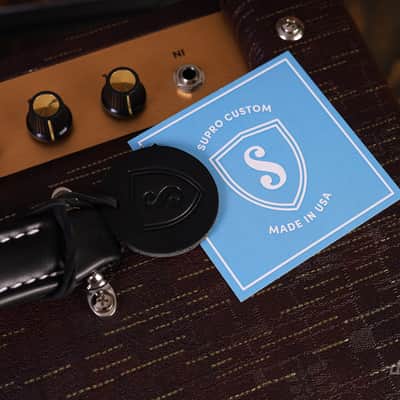 Supro Delegate Custom Combo Bild 11