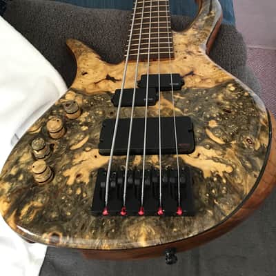 Prana custom bass PC-Buckeye burl 5str.  2014 Clear image 1