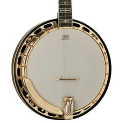 Washburn B17 Banjo image 2