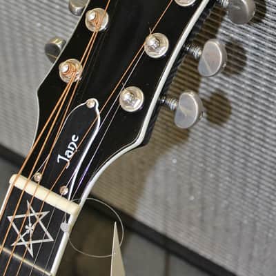 Epiphone Dave Navarro Signature Model Acoustic-Electric Guitar image 6