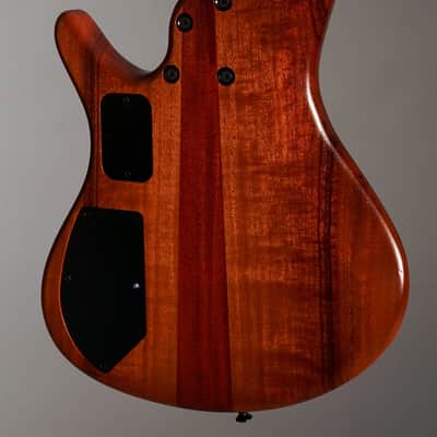 Roscoe Century Standard Plus Fretless image 6