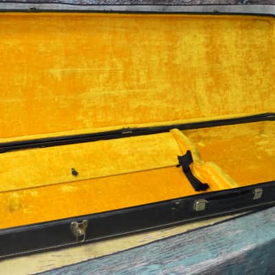 Vintage Original 60's Thunderbird Case image 1
