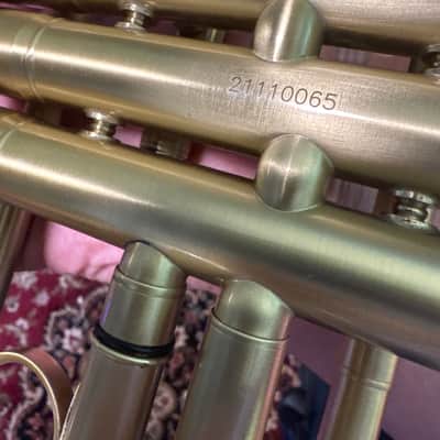 Austin Custom Brass Doubler cornet 2022 - Satin laquer image 7