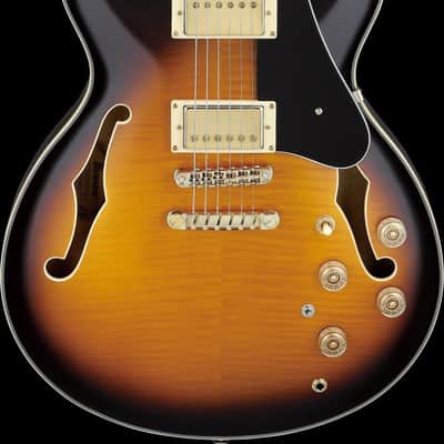 Ibanez JSM10-VYS John Scofield Signature Hollow Body Guitar 6-String - Vintage Yellow Sunburst + Case MS100C image 11