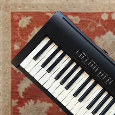 Roland FP-30X Digital Piano - Black