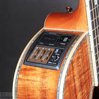 Takamine THE 60th Anniversary Guitar #16 of 60 image 12