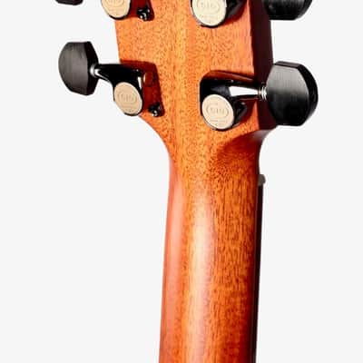 Furch Rainbow Limited Edition 22 Gc-RR All Rosewood w/ Duo Bevel #108800 image 10