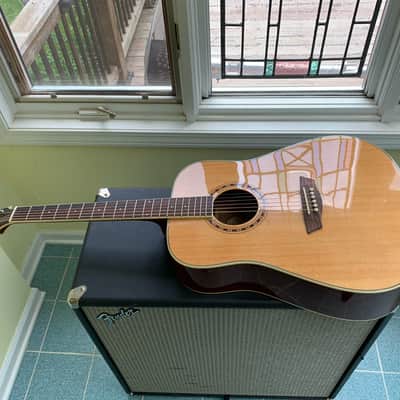 Washburn WD 10 Dreadnought Acoustic Guitar Natural /w Case image 2