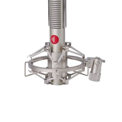 DS-R5 Dynamic Ribbon Microphone Silver image 1