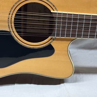 Alvarez AD60-12CE 12-string Acoustic Guitar with Case image 7