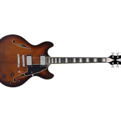 D'Angelico Guitars DAPDCBRBNS Premier DC Electric Guitar, Brown Burst w/ Gig Bag image 4