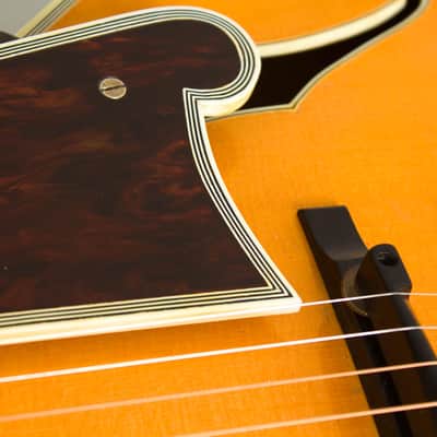 D'Angelico Excel Cutaway Arch Top Acoustic Guitar (1960), ser. #2117, original brown hard shell case. image 22