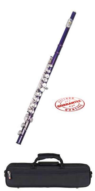 Hawk Color Closed Hole C Flute Purple with Case image 1