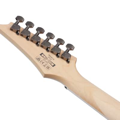 Ibanez RG Series RG421S Electric Guitar - Sea Shore Matte image 9