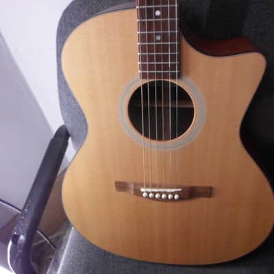 Eastman Grand Auditorium AC-GACE-1 acoustic Guitar image 2