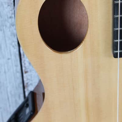 Washburn EACT42S Thinline Classical Nylon String Acoustic Electric Guitar image 4