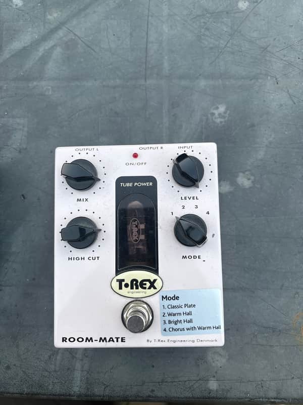 T-Rex Room-Mate