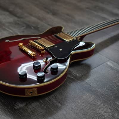 Double Cut Semi-Hollow Small Body Guitar - Red Burst image 6