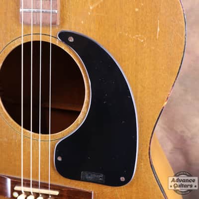 Gibson 1965 TG-0 image 15