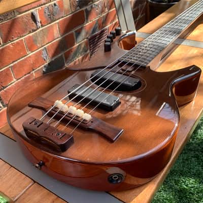 Citron AE5 Swallow Custom 2014 Dark brown image 10