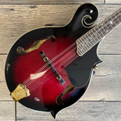 Washburn M3SWETWRK Americana F-Style Acoustic/Electric Mandolin – Excellent Condition – Hard Case image 2