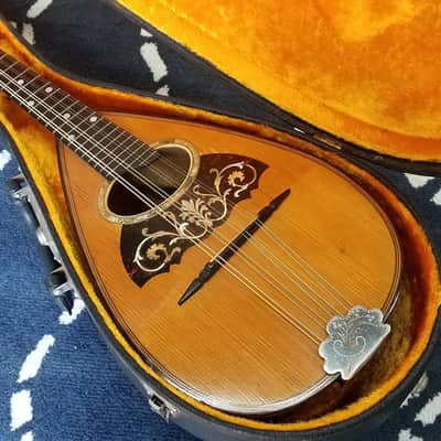 Vega Lansing Special Vintage Bowlback Mandolin c.1903-1910 image 1