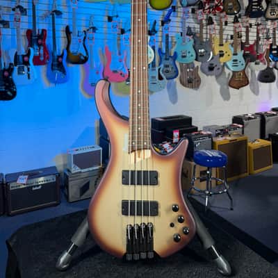 Ibanez Bass Workshop EHB600 Electric Bass Guitar - Charred Champagne Burst Matte, Free Plek! 505 image 3