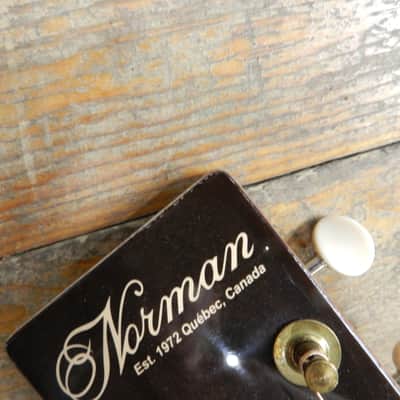 Norman B20 Natural GT Presys II SF image 9