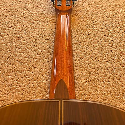 Cordoba C10 Cedar Classical Guitar – Very Good Condition, Pre-Yamaha Era (2019) image 18