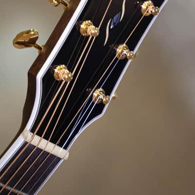 Cort Gold-OC8 OM Cutaway Acoustic Guitar All Solid Fishman image 4