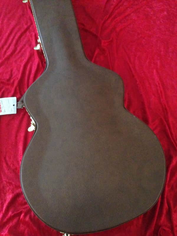 Epiphone ES-335 Pro Limited Edition - Neck Binding, Block Inlays