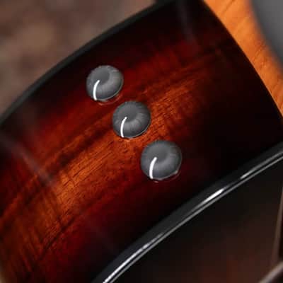 Taylor 224ce-K DLX Grand Auditorium Acoustic/Electric Guitar - Shaded Edgeburst with Hardshell Case image 9