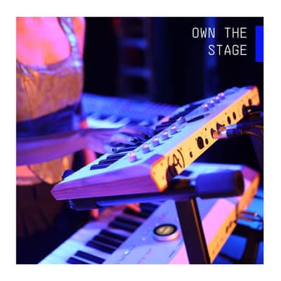 Arturia Astrolab 37 Avant-Garde Stage Keyboard with Analog Lab Pro Integration image 7