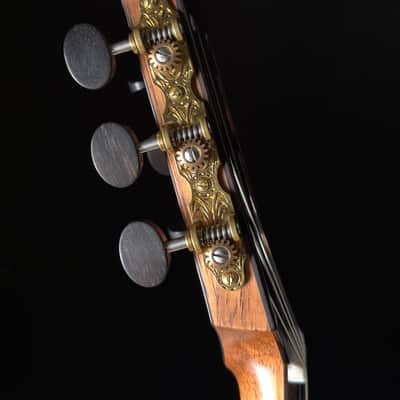 Keisuke Fujii Jazz Nylon with Carlos VIP-DM System image 14