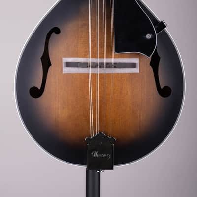 Ibanez M510 A-style Mandolin - Vintage Sunburst High Gloss image 1