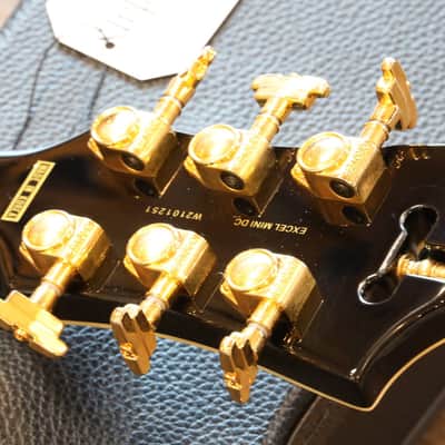 2021 D’Angelico Excel Mini DC Semi-Hollow Electric Guitar Black Dog + OHSC image 19