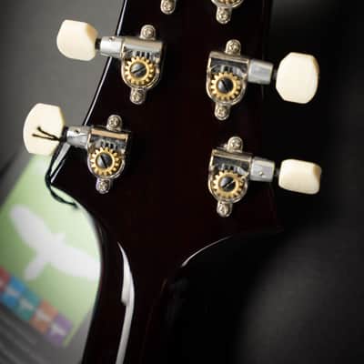 PRS DGT Gold Top Moons (0400580) image 17