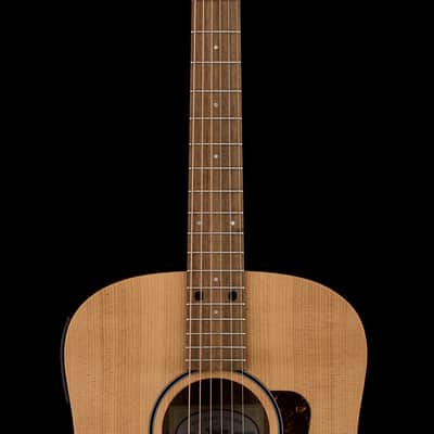 Taylor Big Baby Taylor (BBTe) #06068 (Demonstration Model) image 5