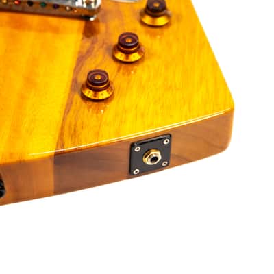 Tokai Explorer Owned by Brian Setzer image 10