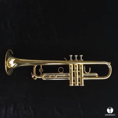 A . Courtois Paris S 311 PRESTIGE  HEAVYWALL trumpet case mouthpiece  gamonbrass image 12