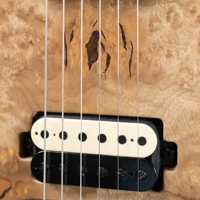 Mayones NAMM Regius 4Ever 6 – Master Grade Myrtlewood Burl with Mayones HISCOX Case image 14