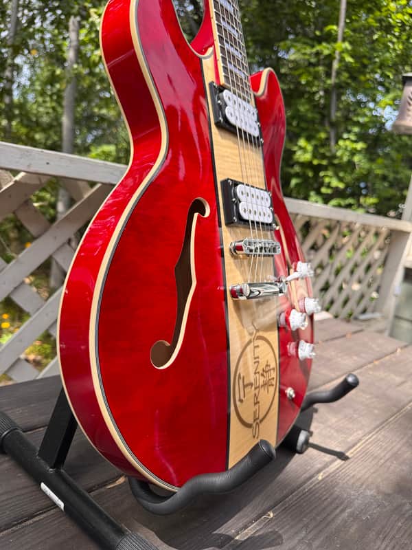 Firefly FF338, $200 David Allen P51 Humbuckers, pro locking tuners image 1