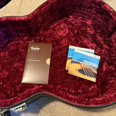 Taylor 356ce with ES2 Electronics 2019 - 12-String Guitar image 11