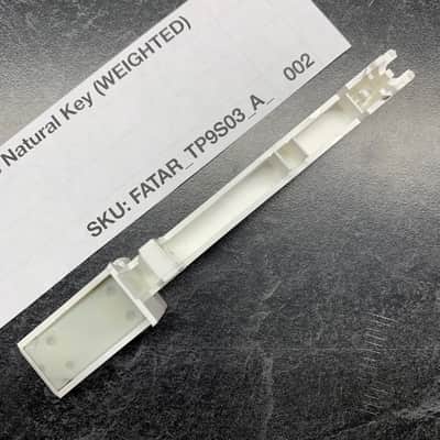 Fatar Replacement Weighted A Key (TP/9S Keybeds) for Sequential Prophet-6, Access Virus Indigo 2/TI Polar, Moog Grandmother/Matriarch, Oberheim OB-X8/OB-6/TVS Pro, Waldorf Blofeld/Microwave XTk, Ensoniq Fizmo, & more image 3